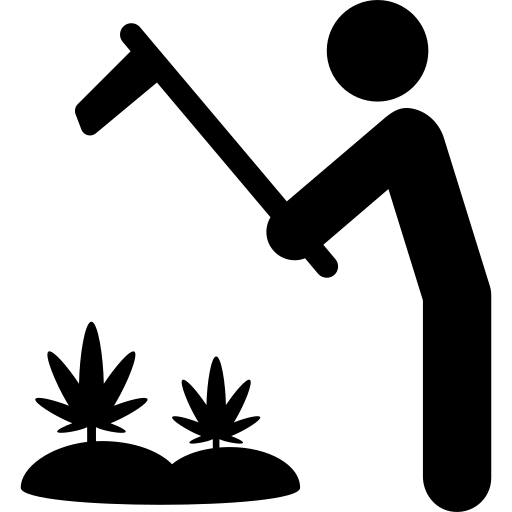 Tarım ve Gıda